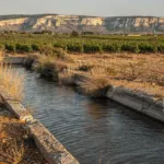 Dans la Clape, un projet de stockage des eaux des canaux pour irriguer les vignes