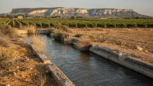 Dans la Clape, un projet de stockage des eaux des canaux pour irriguer les vignes